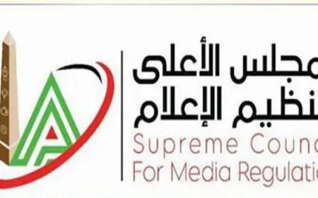 “الأعلى للإعلام”: وسائل الإعلام المصرية لم تتأثر بالعطل التقني العالمي في الإنترنت