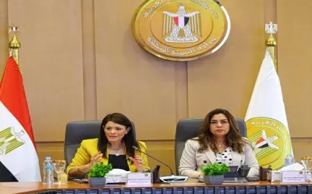 المشاط: متابعة مُكثفة مع المحافظات لضبط الإنفاق الاستثماري خلال العام المالي الجاري