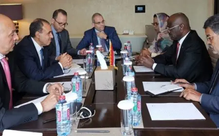 وزير الخارجية يبحث مع وزير الشئون الخارجية والتعاون بموريتانيا التعاون الثنائي بين البلدين الشقيقين