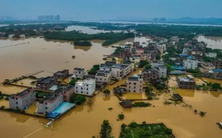 مقتل 20 شخص وفقدان العشرات في سيول بالصين