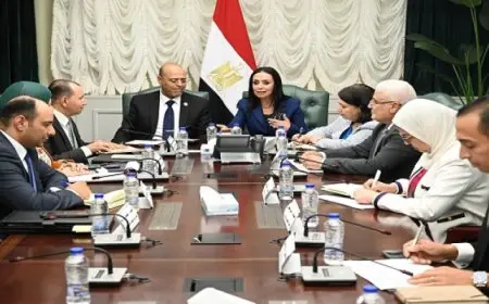 وزيرة التضامن الاجتماعي ووزير العمل يبحثان ملف العمالة غير المنتظمة