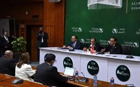 رئيس الوزراء يلتقي عدداً من المصريين العاملين في مؤسسات الاتحاد الأفريقي