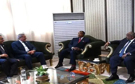 على هامش الاجتماع التنسيقي للاتحاد الإفريقي .. رئيس الوزراء يلتقي عددًا من القادة الأفارقة