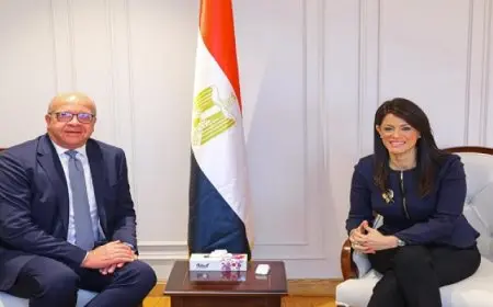 المشاط تستقبل نائب رئيس مجلس إدارة بنك الاستثمار القومي لمناقشة دور البنك في دعم جهود الدولة التنموية