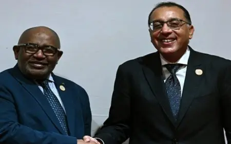 على هامش مشاركته بالاجتماع التنسيقي للاتحاد الإفريقي.. رئيس الوزراء يلتقي رئيس جُزر القُمر