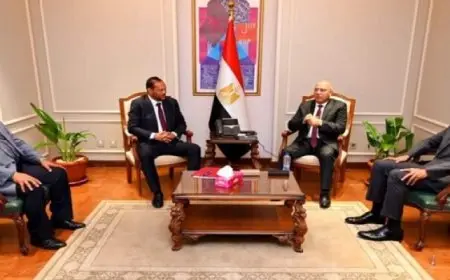 وزير الصناعة : خطة شاملة لتطوير قطاع الصناعة لجعل مصر قلعة صناعية كبيرة