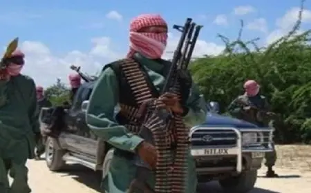 الصومال: مقتل أكثر من 80 من المليشيات الإرهابية بمحافظة جوبا السفلى