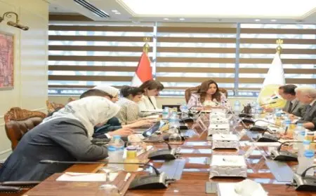 وزيرة التنمية المحلية تثمن جهود اتحاد الغرف التجارية لضبط الأسواق خلال الفترة الماضية