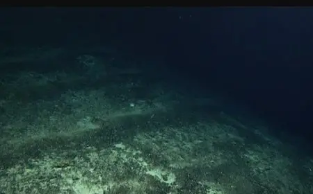 في قاع المحيط.. علماء يكتشفون “الأكسجين المظلم”