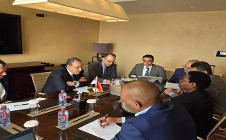 وزير الخارجية يؤكد أهمية توظيف الريادة المصرية لملف إعادة الإعمار في مواجهة التحديات والأزمات