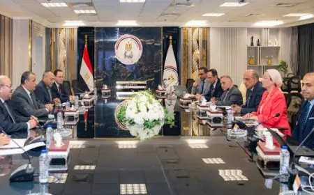 وزراء الإنتاج الحربي والبيئة والكهرباء يبحثون الموقف التنفيذي لعدد من موضوعات التعاون المشترك