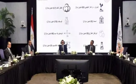 وزير الاستثمار والتجارة الخارجية يلتقي أعضاء مجلس الأعمال المصري الهندي