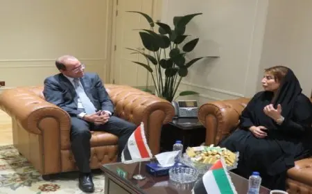 وزير المالية: نعمل على تهيئة بيئة أعمال أكثر جذبًا لاستثمارات القطاع الخاص