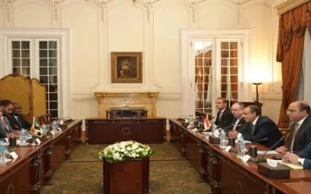 وزير الخارجية يبحث مع نظيره السوداني الدعم المصري للأشقاء في السودان لمواجهة تحديات الحرب الجارية