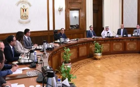 رئيس الوزراء يستعرض مع أحد التحالفات العالمية مقترح إدارة مركز القاهرة الدولي المالي بالعاصمة الإدارية الجديدة