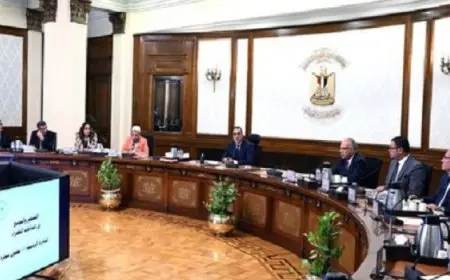 رئيس الوزراء يكلف بتشجير المحاور المرورية فى القاهرة الكبرى وعواصم المحافظات