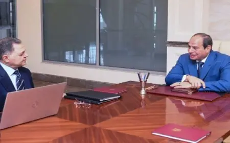 الرئيس السيسي يعقد اجتماعا مع وزير الداخلية