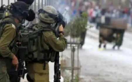 11 شهيدا برصاص قوات الاحتلال الإسرائيلي في الضفة الغربية خلال 24 ساعة