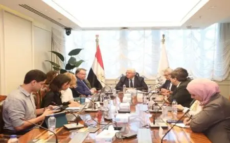 وزير التعليم العالي يلتقي بالمستشارة الدولية لبناء القدرات ببريطانيا ومدير مكتب القاهرة لمنظمة العمل الدولية