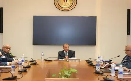 وزير الخارجية : مصر تولي أهمية متقدمة لدعم حقوق الإنسان وتحقيق العدالة الاجتماعية