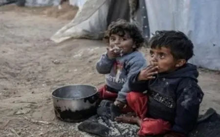 في تصريحات للنيل للأخبار .. المرصد الأورومتوسطي يحذر من انتشار شلل الأطفال بغزة