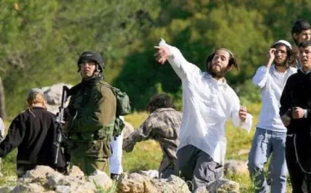 أستراليا تفرض عقوبات على مستوطنين إسرائيليين