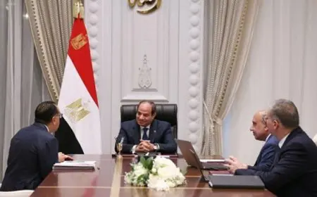 الرئيس السيسي يوجّه الحكومة بضمان انتظام الخدمة الكهربائية .. ويشيد بتفهم المواطن