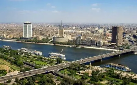 الأرصاد: طقس اليوم شديد الحرارة رطب نهارًا مائل للحرارة رطب ليلًا.. والعظمى بالقاهرة 36