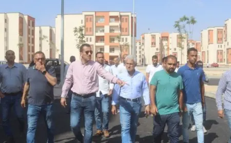 وزير الإسكان: جولات تفقدية لمسئولي الوزارة وأجهزة المدن لدفع العمل بمشروعات المبادرة الرئاسية “سكن لكل المصريين”