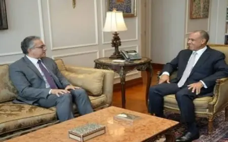 بال .. وزير الخارجية والهجرة يوجه بدعم ترشح العناني لمصر لمنصب أمين عام اليونسكو