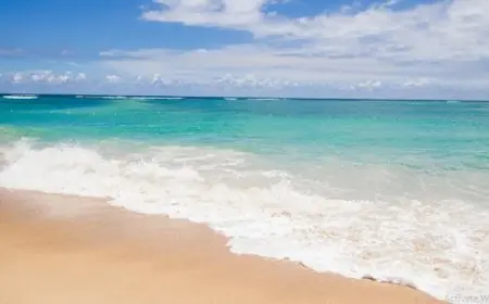 مجلس الوزراء ينفي شائعة انحسار مياه البحر عن بعض شواطئ الجمهورية بشكل كبير مما ينبئ بحدوث أعاصير مدمرة