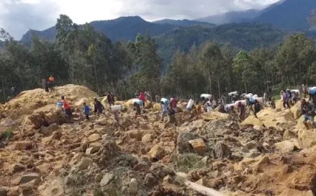 مصرع 12 شخصا وإصابة 6 آخرين إثر وقوع انهيار أرضي بوسط الصين