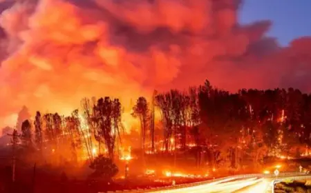 حريق بكاليفورنيا يلتهم 350 ألف فدان ويهدد 50 مقاطعة