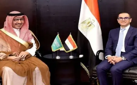 وزير الاستثمار والتجارة الخارجية: حريصون على تعميق الشراكة مع السعودية في شتى المجالات الاقتصادية