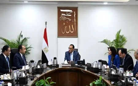 رئيس الوزراء يتابع مع وزير قطاع الأعمال تطوير مشروعات الغزل والنسيج والألومنيوم والسيارات