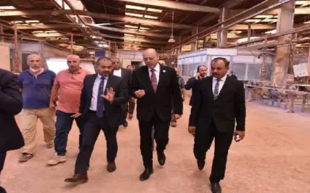 وزير العمل: الدولة تحرص على دوران عجلات الإنتاج وتحقيق الأمان الوظيفي للعمال