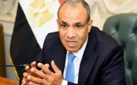 وزير الخارجية يعرب عن تضامن مصر مع لبنان ورفضها لأية تهديدات