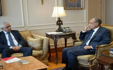 وزير الخارجية:وحدة ليبيا جزء لا يتجزأ من الأمن القومي المصري