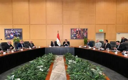 وزير الإسكان ومحافظ القاهرة يترأسان اجتماع اللجنة التيسيرية لمشروع تطوير “منطقة مثلث ماسبيرو”