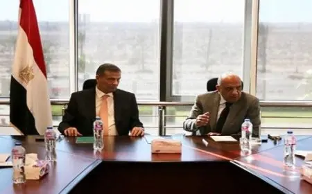 وزير الكهرباء: طرح مبادرة خلية شمسية لكل مزرعة دواجن بالتعاون مع وزارة الزراعة