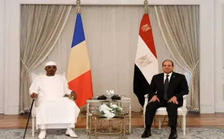 الرئيس السيسي يؤكد حرص مصر على تقديم الدعم الكامل للأشقاء في تشاد على كافة الأصعدة