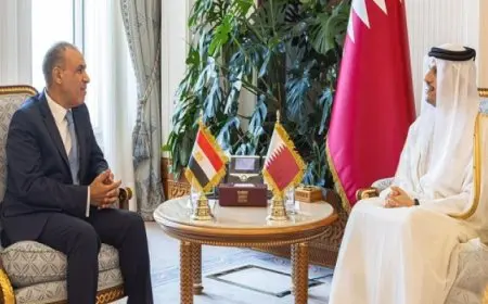 وزير الخارجية والهجرة يعقد جلسة مباحثات مع نظيره القطري حول القضايا الإقليمية والدولية