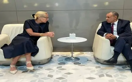 وزير الخارجية يلتقي كبيرة منسقي الأمم المتحدة للشئون الإنسانية وإعادة الإعمار في غزة