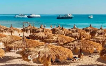 اليوم .. انطلاق ملتقى البيئة الساحلية الـ12 بالغردقة