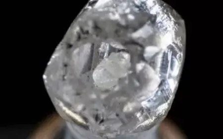 ألماسة ثمينة تغير حياة عامل هندي