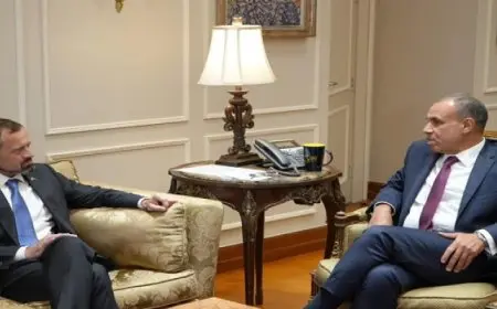 وزير الخارجية يؤكد ضرورة الحفاظ على مؤسسات الدولة السودانية