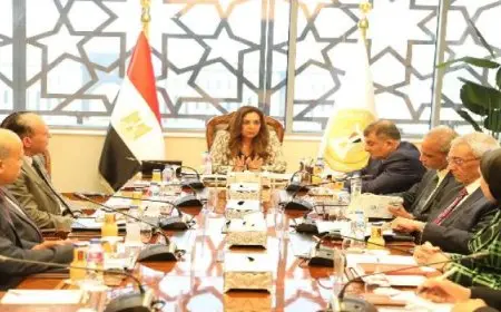 وزيرة التنمية المحلية تؤكد أهمية دعم جهود التنمية بالمحافظات ووضع خطط واضحة تلبي احتياجات المواطنين