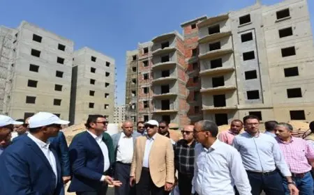 وزير الإسكان يتفقد موقف تنفيذ وحدات المبادرة الرئاسية “سكن لكل المصريين” بمدينة بدر
