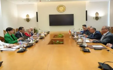 وزيرا خارجية مصر وقبرص يتفقان على أهمية تكثيف الجهود لتجنب تصاعد وتيرة العنف بالمنطقة