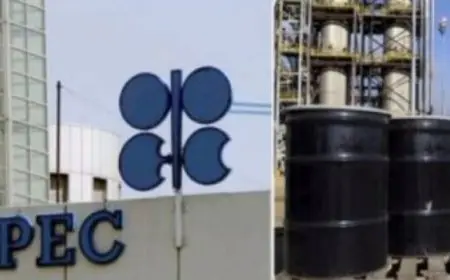 أوبك + تقرر عدم اجراء تغيير على مستويات إنتاج النفط الخام